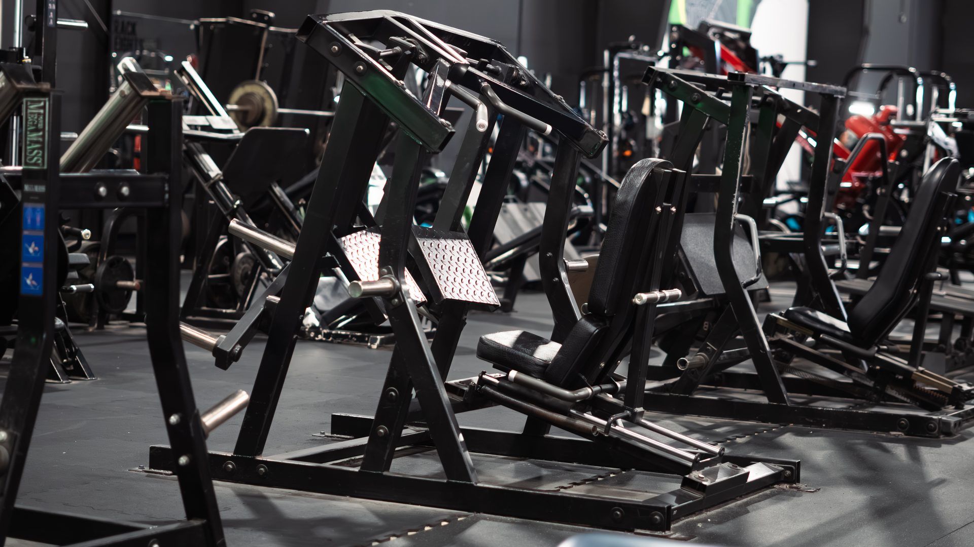 Rows of strength machines on the Species Gym Katy floor