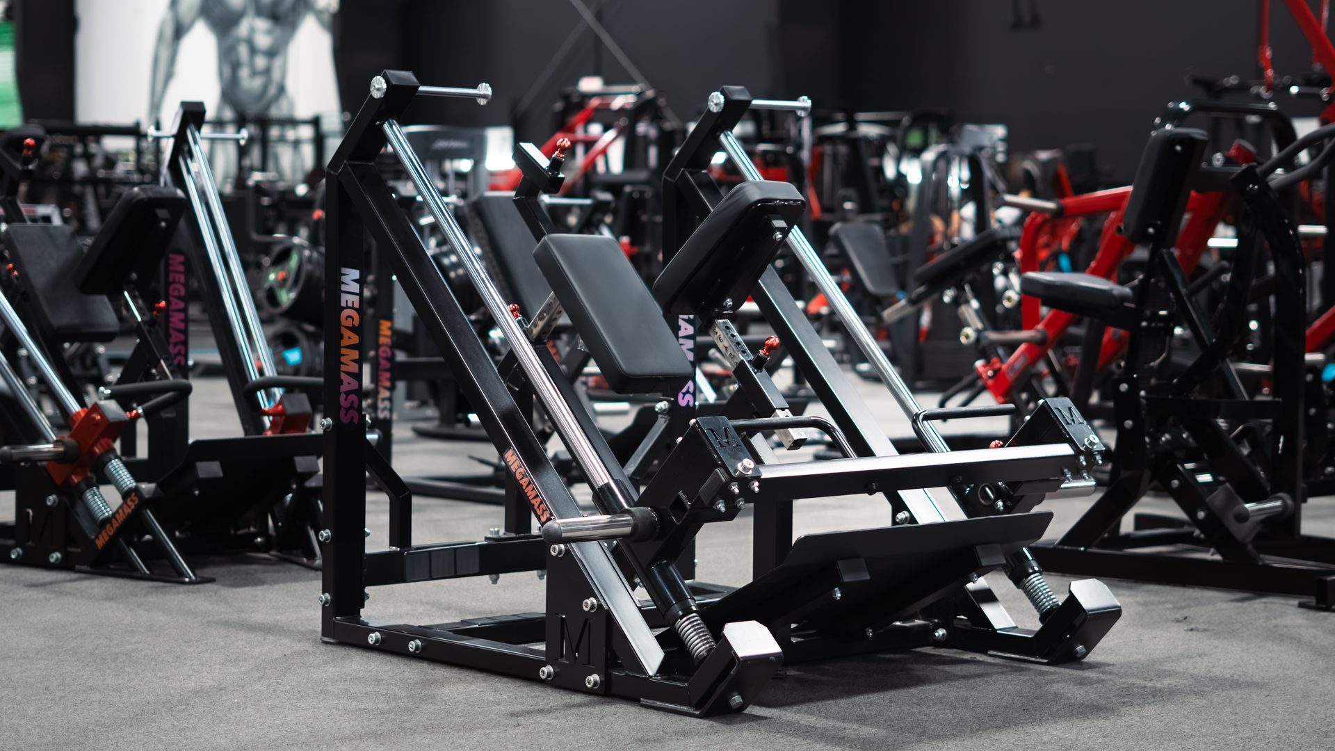 MegaMass leg press at Species Gym Katy