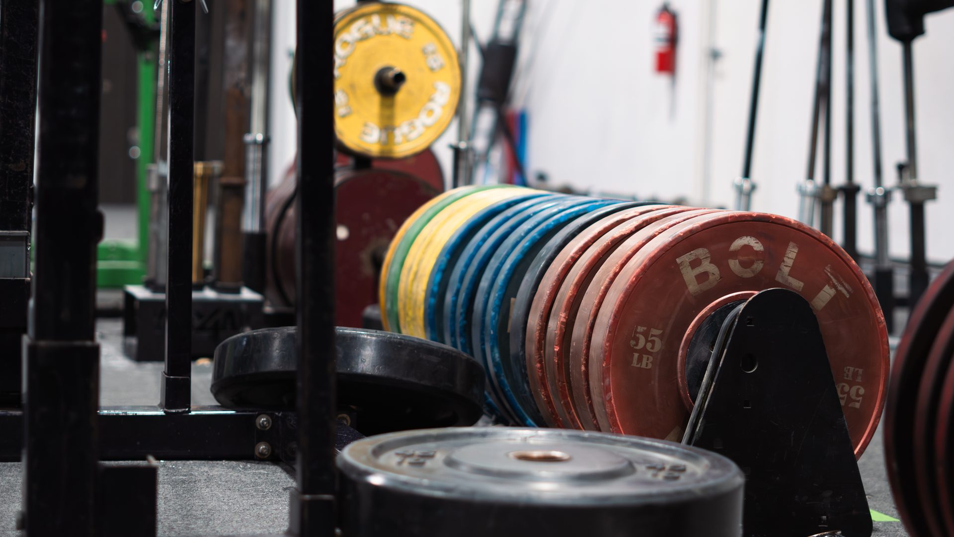 Bumper plates and barbells on the Species Gym Katy floor